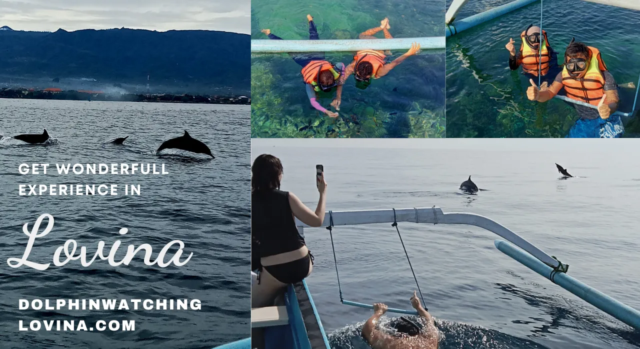 Dolphin Watching Lovina .com